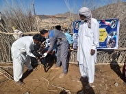 برگزاری اردوی جهادی دامپزشکی برای پیشگیری از تب برفکی در ۲۳ استان کشور