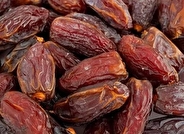 حذف پنج محصول کشاورزی از فهرست «پرآب‌بَرها» در سال جاری