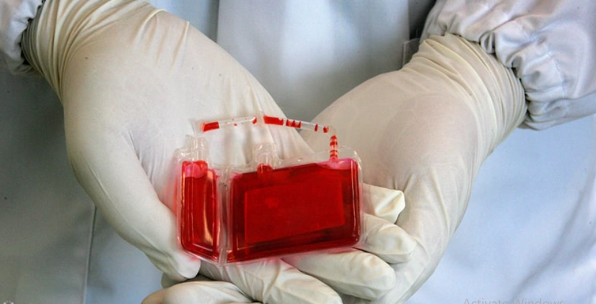 با ذخیره سازی ۲۵۰ هزار نمونه سلول بنیادی خون بند ناف در رتبه دوم جهان هستیم