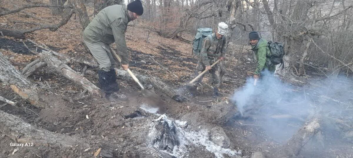 پایان عملیات خاموش سازی آتش در پارک ملی گلستان