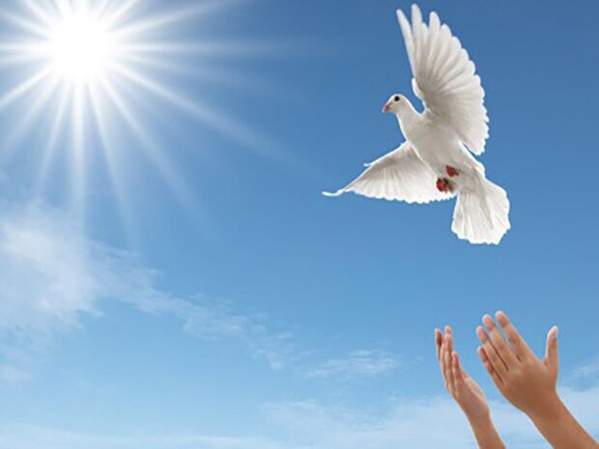 آزادی ۱۷۰ زندانی جرایم غیرعمد در کردستان