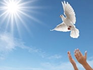 آزادی ۱۷۰ زندانی جرایم غیرعمد در کردستان