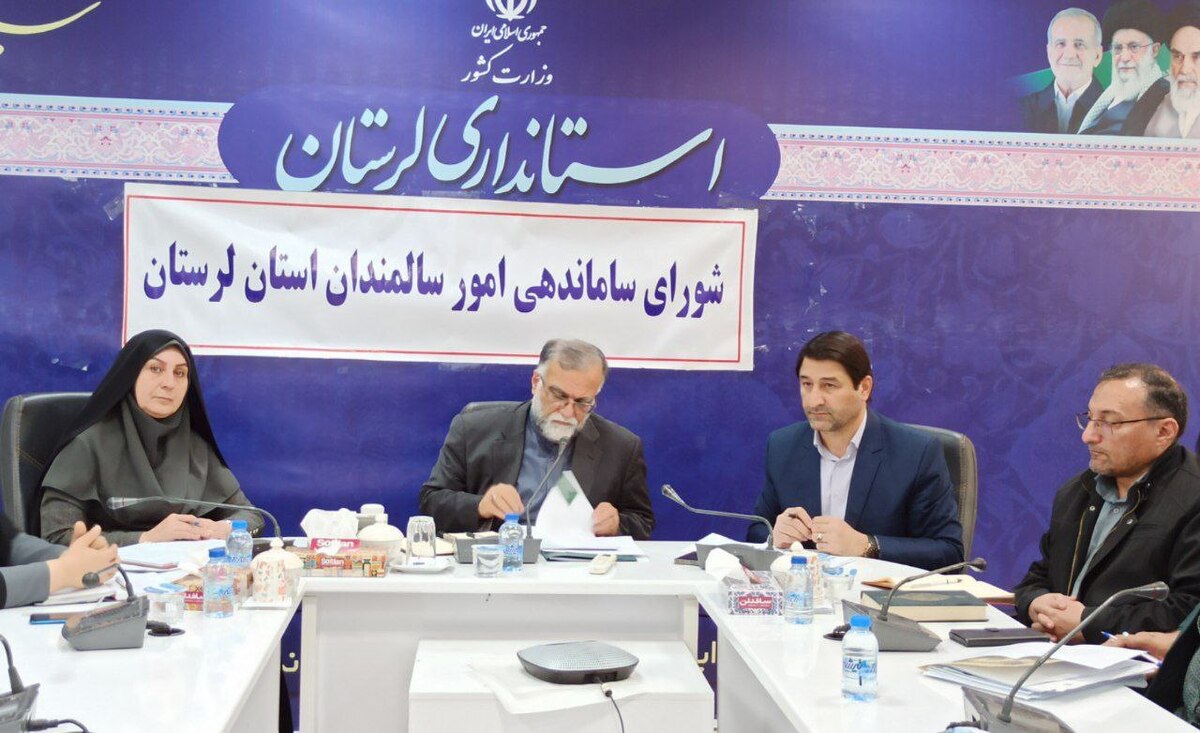 تاکید معاون استاندار لرستان بر هم افزایی فرادستگاهی در حوزه سالمندی