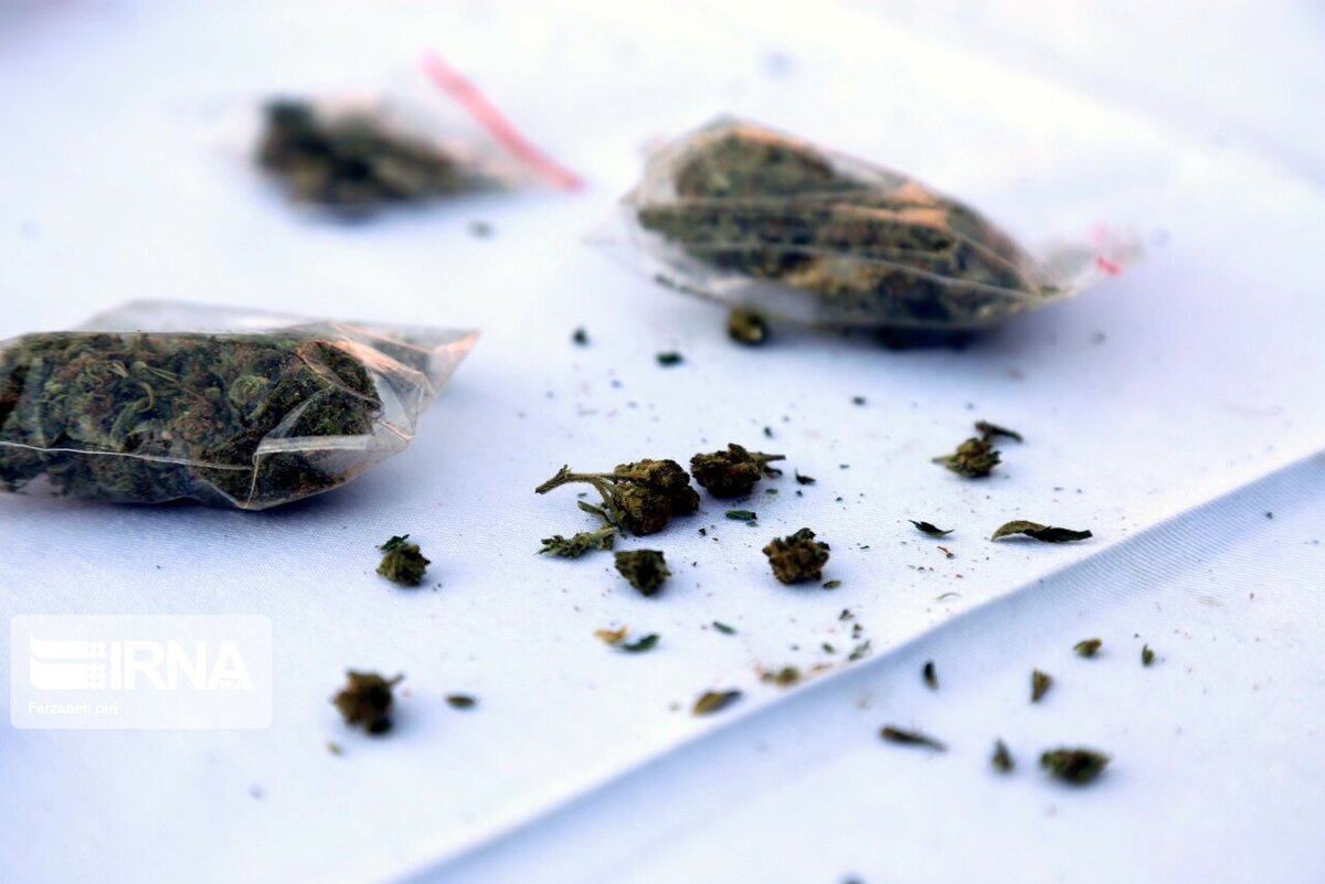 نخستین نشانه‌های مصرف گل از قرمزی چشم و خنده‌های بی‌دلیل تا گوشه‌گیری و افت تحصیلی