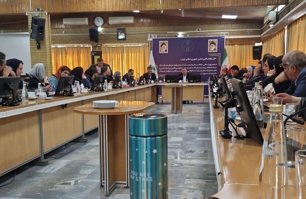 معاون سازمان حفاظت محیط زیست : عنوان کرد :تلاش برای جلو گیری از انقراض اسب کاسپین توسط سازمان حفاظت محیط زیست