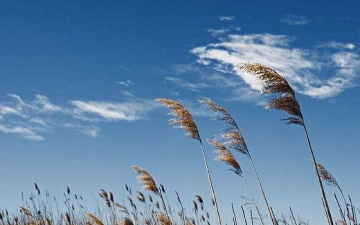 جوی پایدار در بیشتر مناطق کشور طی پنج روز آینده