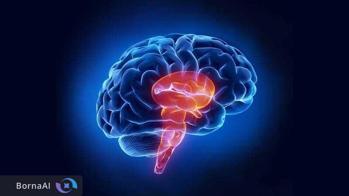 پایان عصر مسکن‌های اعتیادآور با کشف "نقشه درد" در مغز