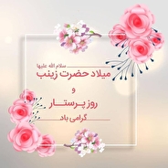 چرا ولادت حضرت زینب (س) روز پرستار نامگذاری شده است؟