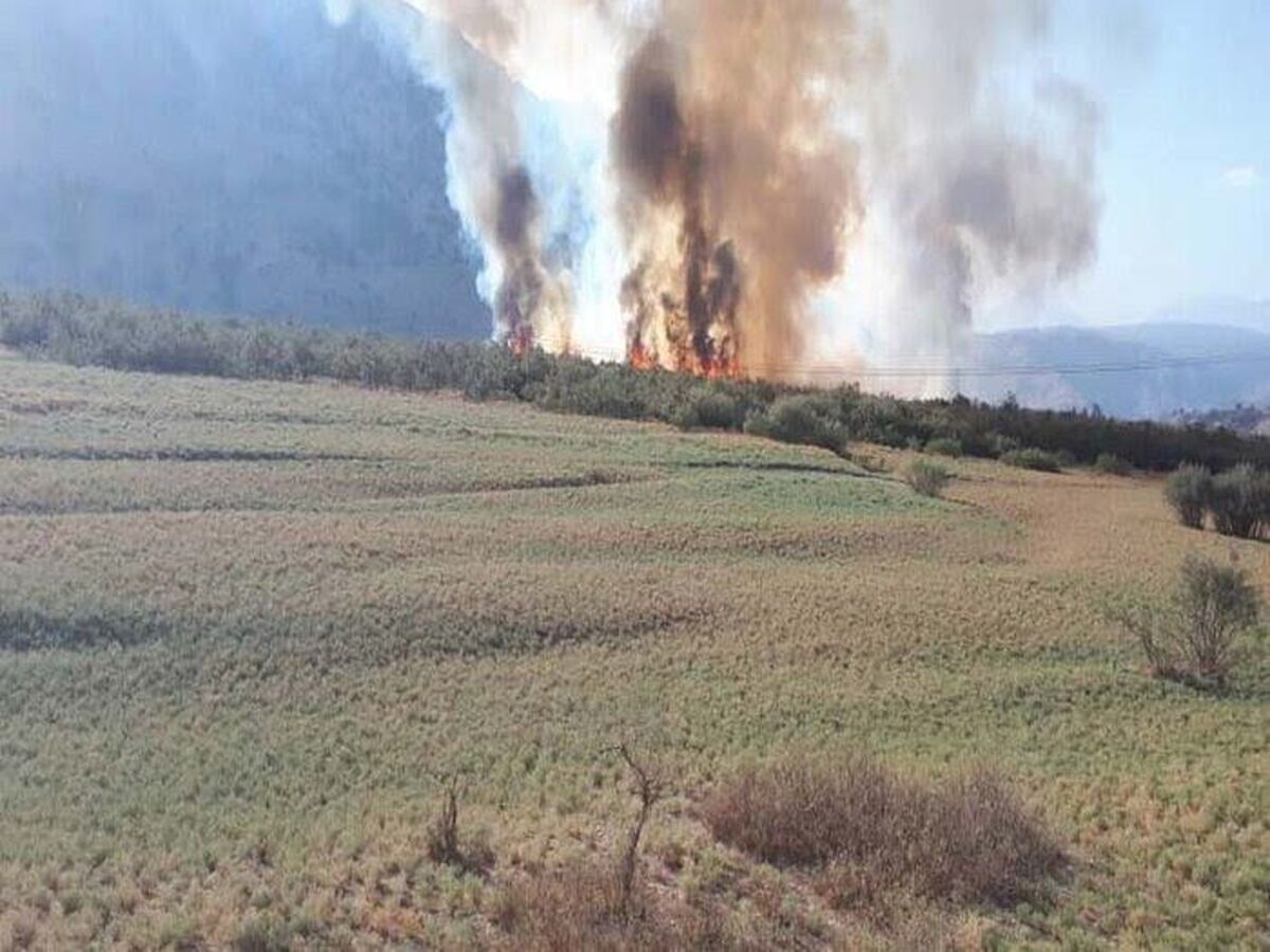 مهار آتش‌سوزی در منطقه حفاظت‌شده شیمبار اندیکا