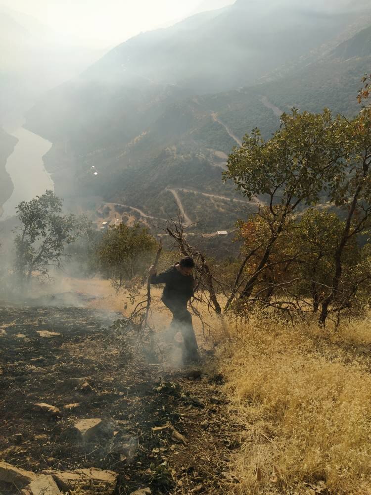 مهار شش مورد آتشسوزی طی پنج روز گذشته در زیستگاههای سروآباد مهار شش مورد آتشسوزی طی پنج روز گذشته در زیستگاههای سروآباد