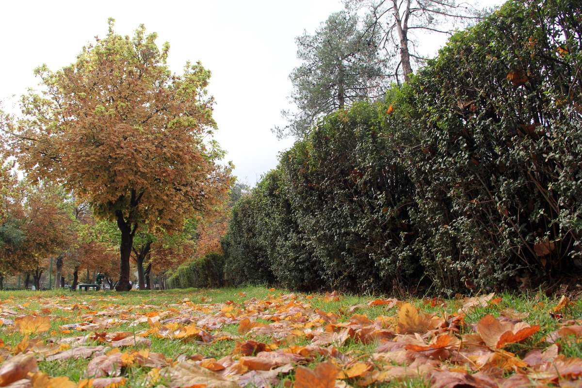 اواخر هفته آینده، فارس سردتر می شود