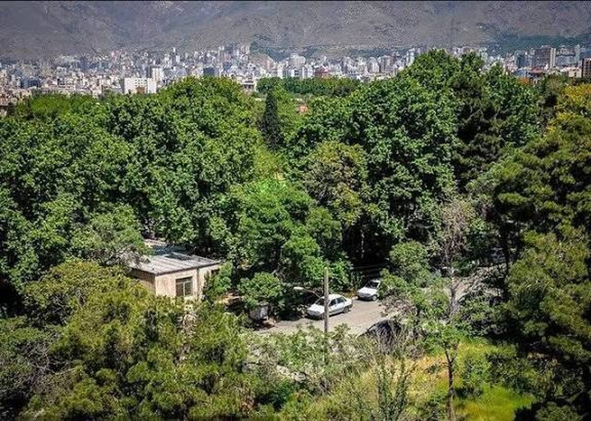 هدیه ۳۵هکتاری به مردم پایتخت با تبدیل پادگان ۰۶ به بوستان/ ساخت ۸۰مجموعه ورزشی در مراکز آموزشی