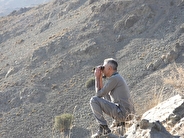 آغاز سرشماری حیات وحش در مناطق گرمسیری کهگیلویه و بویراحمد