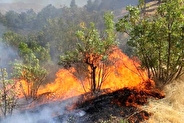 رایزنی بین‌المللی برای خاموش کردن آتش‌سوزی جنگل‌های چالوس