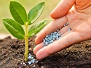 توزیع بیش از ۲۳۰۰۰ هزار تن انواع کود‌های کشاورزی یارانه ایی