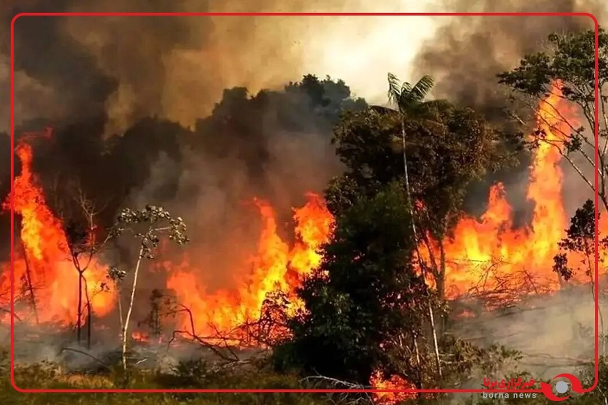استاندار مازندران: به احتمال بسیار زیاد منشأ آتش‌سوزی جنگل منطقه الیت انسانی است