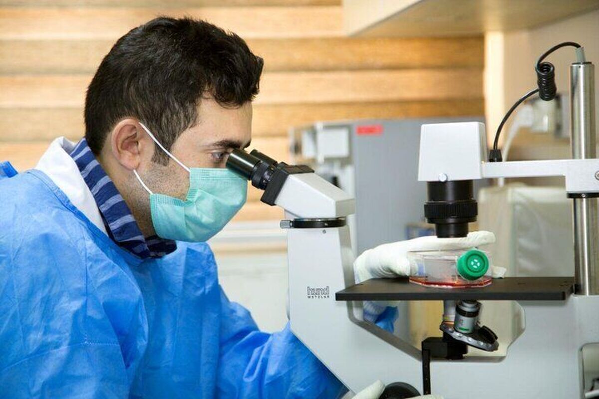 کسب برترین رتبه‌های پژوهشی کشور توسط دانش‌آموزان و یک معلم بوشهری