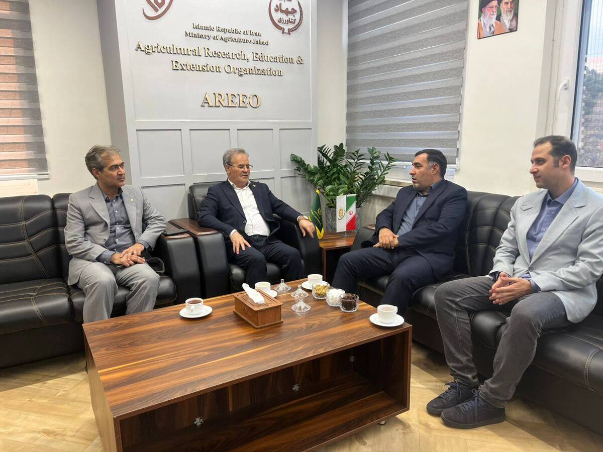 چمن طبیعی ورزشگاه تختی تهران مورد بررسی تخصصی و مطالعات دانش بنیان قرار می‌گیرد