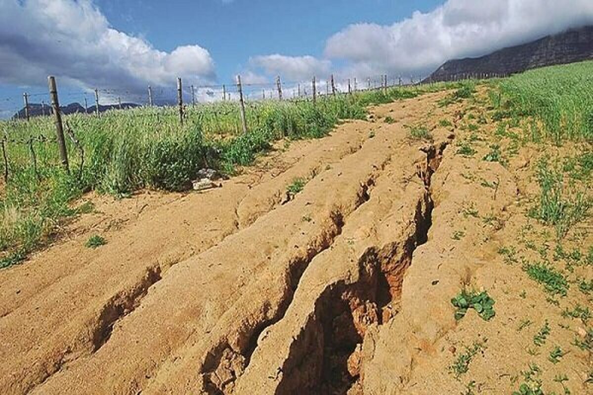 هر هکتار مرتع، ۴ تن فرسایش خاک را کاهش می‌دهد