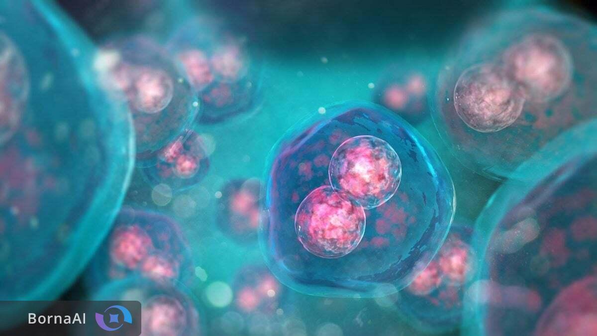 کشف قانون زیستی که راز ۸۰ ساله را فاش کرد