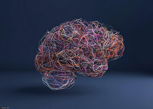 مغز شما چرا به افکار منفی چسبیده است؟