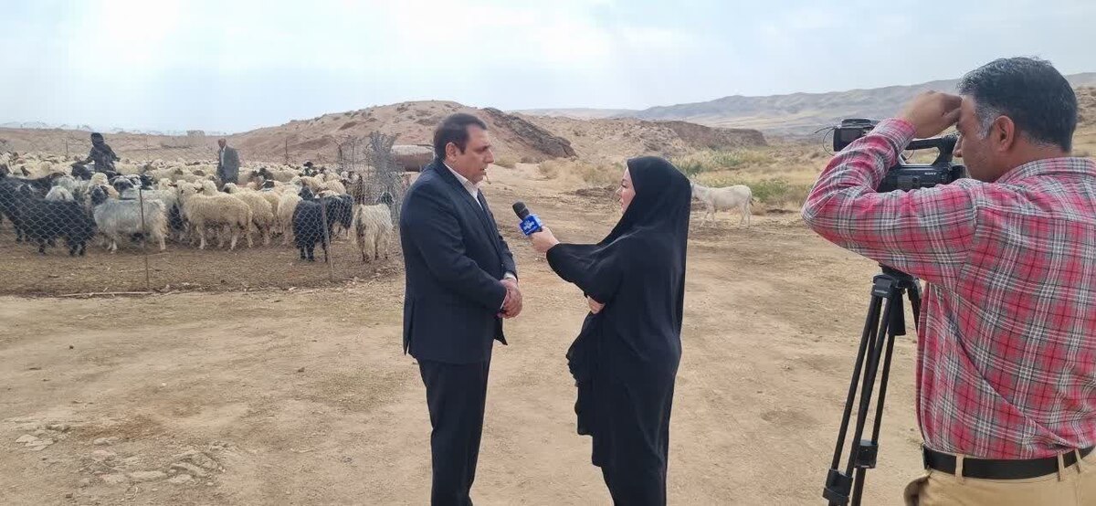 کوچ قشلاقی عشایر به ایلام آغاز شد/تأمین ۶۵ درصد گوشت قرمز استان توسط جامعه عشایری