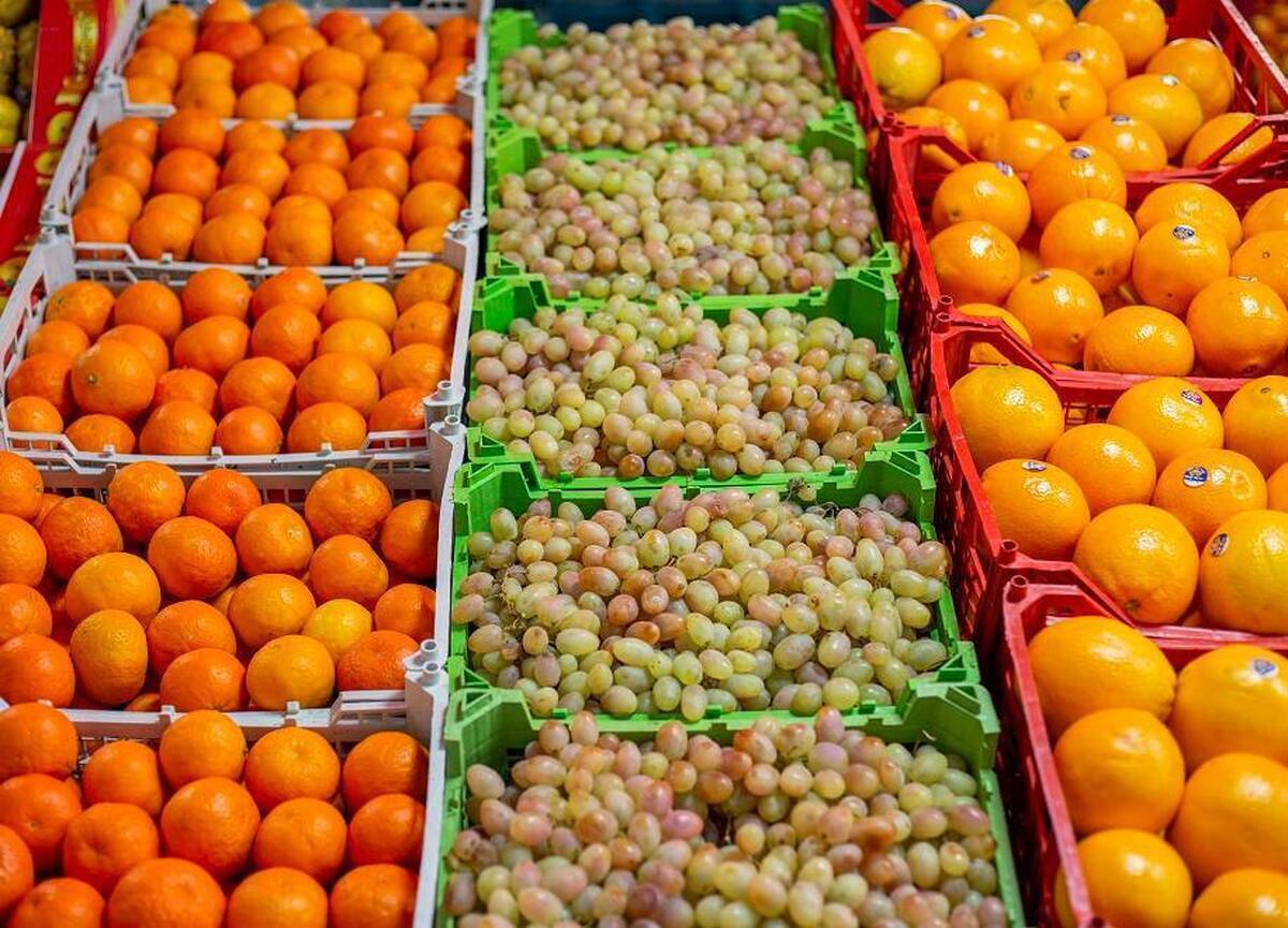 قیمت میوه در میادین میوه و تره بار اعلام شد
