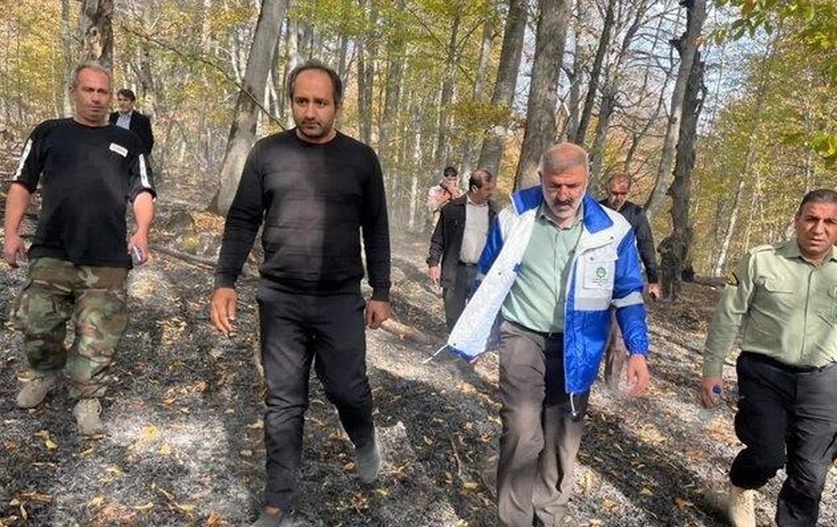فرماندار ساری: آتش‌سوزی جنگل‌های مرزی ساری و نکا در کمتر از ۹ ساعت مهار شد