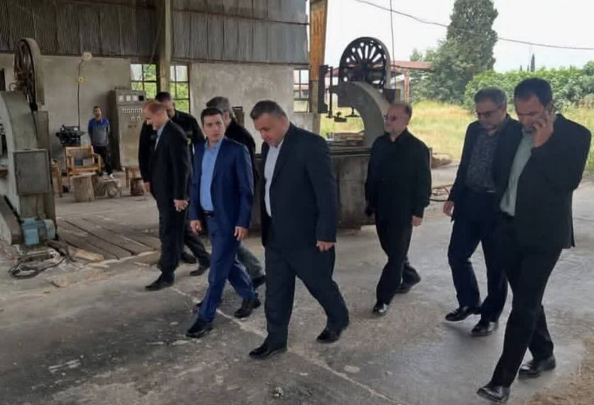 روایت مدیرعامل نکاچوب از عبور تاریخی شرکت از بحران