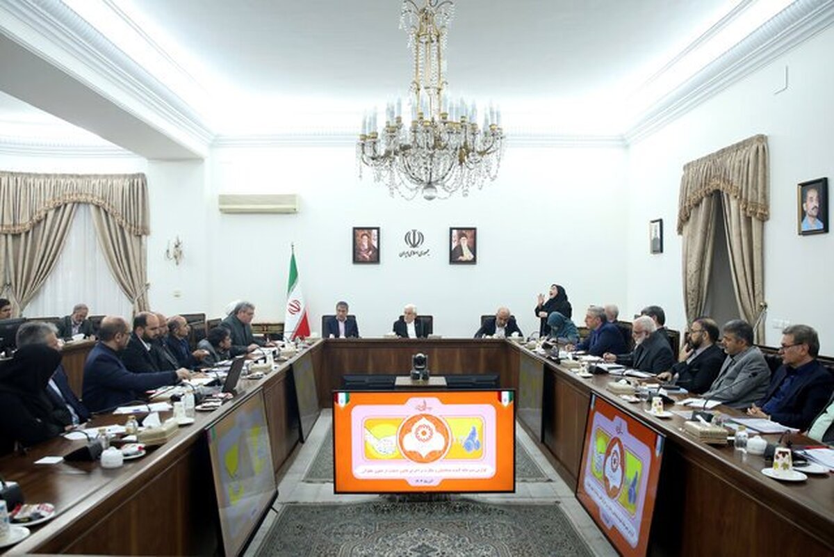 عارف: به تقسیم کار ملی درباره افراد دارای معلولیت نیازمندیم