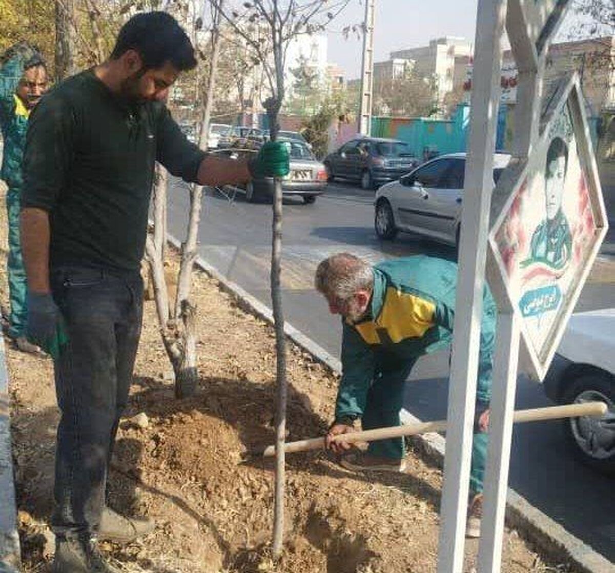 آغاز طرح جایگزینی درختان آلرژی‌زا در بلوار مطهری؛ فاز اول با کاشت۸۷ اصله درخت بومی اجرا شد