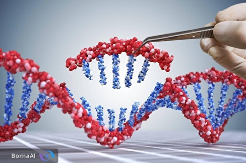 روش جدید ژن‌درمانی امید به درمان بیماری‌های ژنتیکی را افزایش داد
