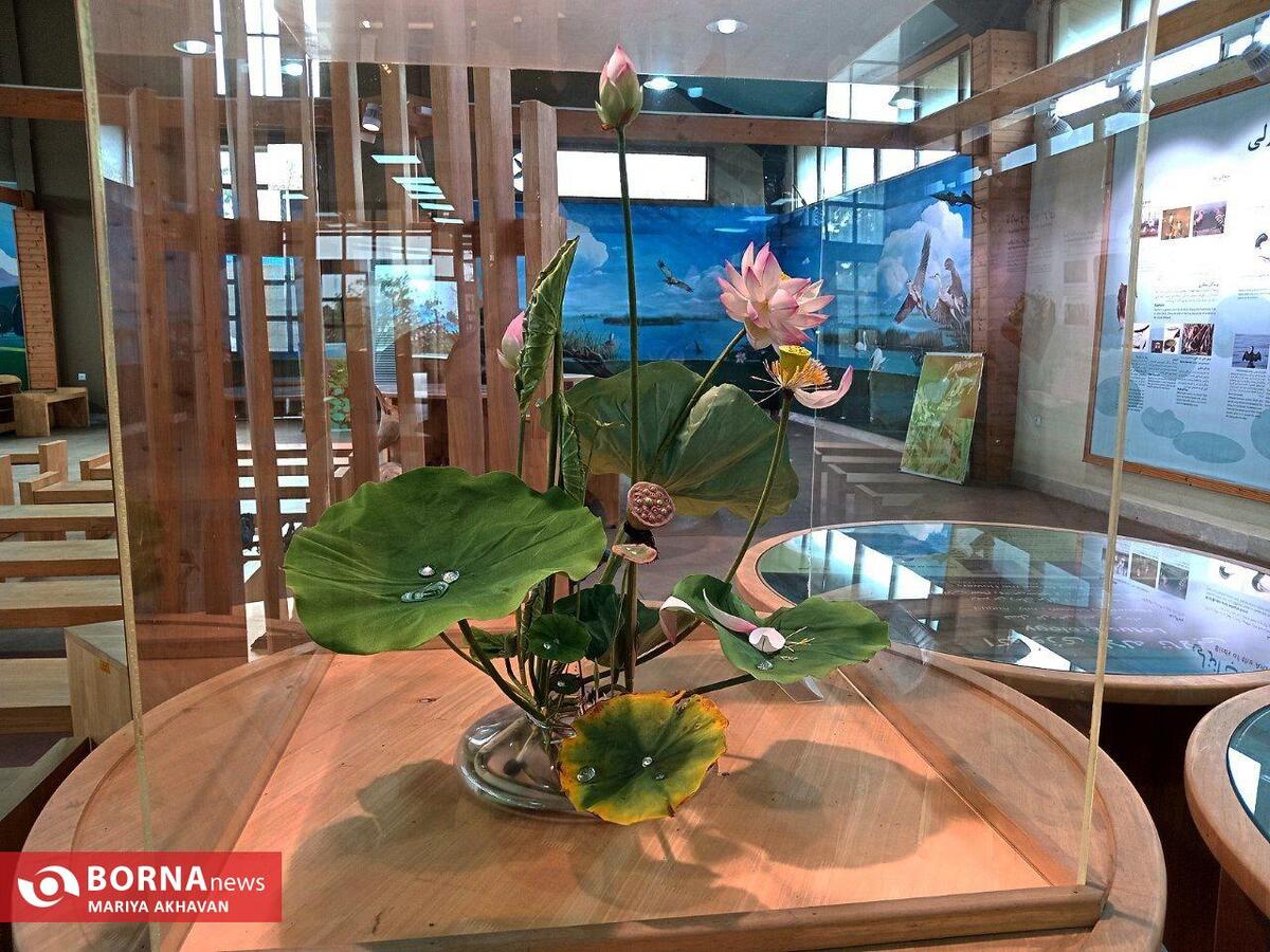 خانه محیط زیست بندرانزلی