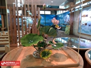 خانه محیط زیست بندرانزلی