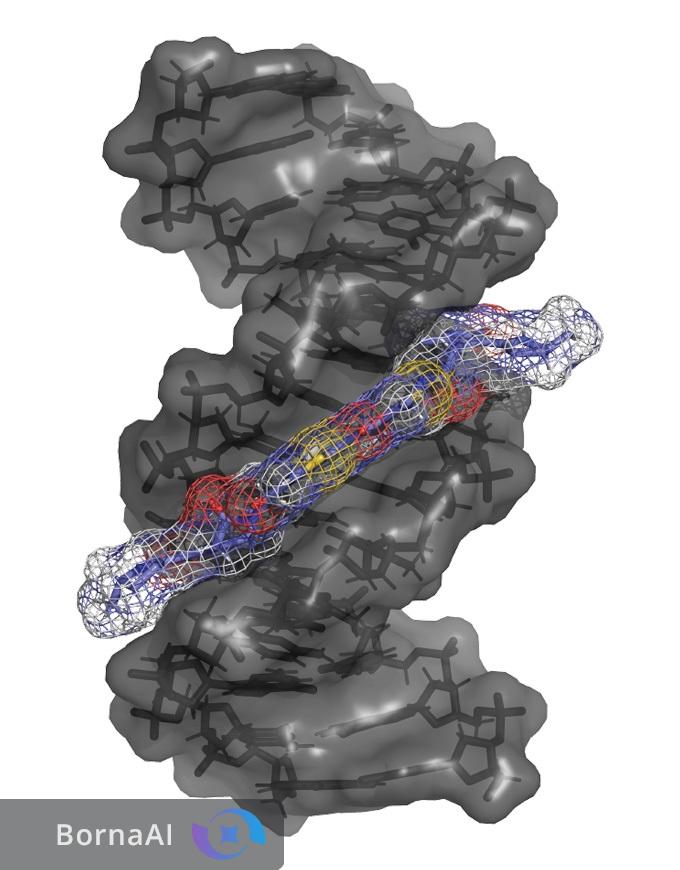 سم پنهان باکتری روده چگونه DNA را هدف میگیرد؟ سم پنهان باکتری روده چگونه DNA را هدف میگیرد؟