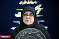 مهاجرانی: تاریخ اجرای دقیق طرح اصلاح قیمت بنزین هنوز نهایی نشده است