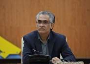 بازنگری در اقتصاد هنر استان بوشهر ضروری است