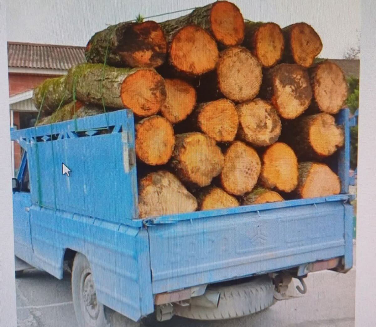 کشف ۲.۵ تن الوار جنگلی قاچاق در اردبیل / توقیف محموله چوب در عملیات پلیس هیر