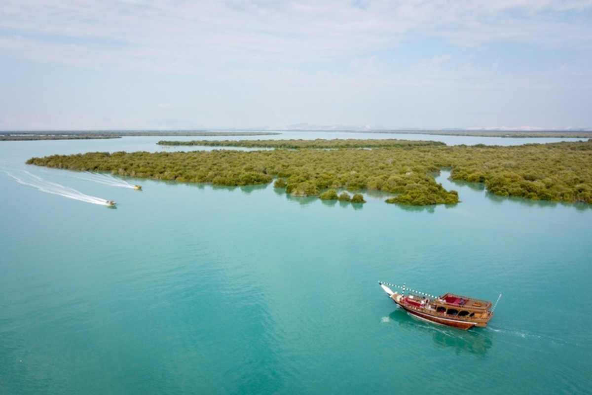 هشدار یک پژوهشگر درباره تهدیدهای جنگل‌های حرای کشور