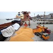 گام تازه در امنیت غذایی مازندران؛ دو کشتی گندم وارد بندر امیرآباد شدند