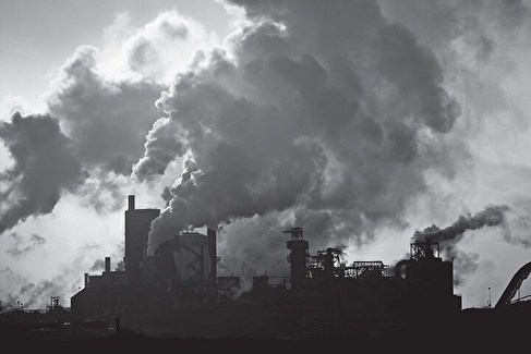 ۱۶ ابتکار جهانی برای کاهش آلودگی هوا از شهر هوشمند تا جنگل‌های عمودی