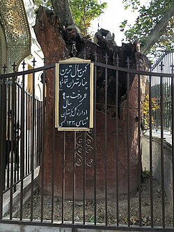 امامزاده یحیی، مردی بزرگوار از تبار سید الساجدین (ع)