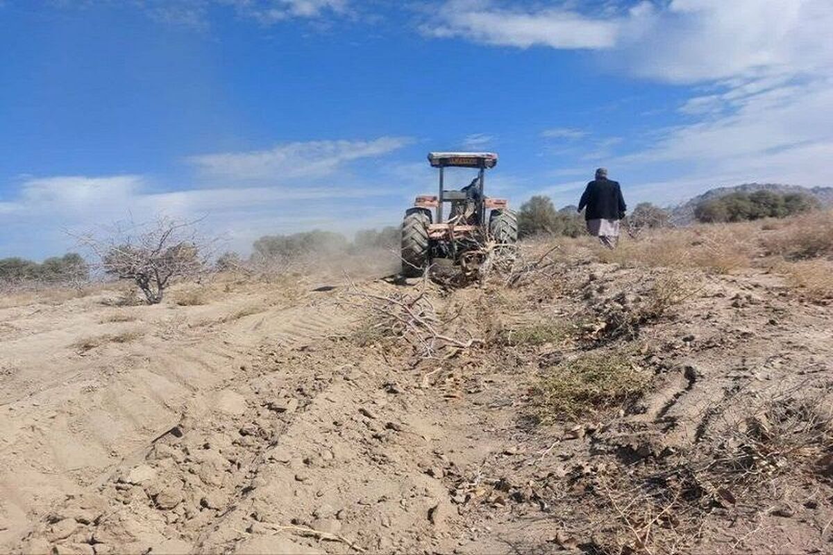 رفع تصرف ۳۱ هکتار اراضی ملی در مرتع «دجنگ» شهرستان خاش