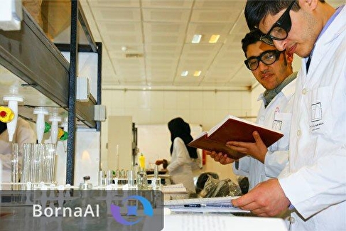 شیوه‌نامه طرح «دانا» برای حمایت از دانش‌آموختگان دکترا ابلاغ شد