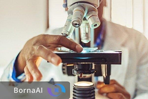 اطلاعیه مهم برای دانشجویان دکتری متقاضی شرکت در مدرسه تابستانه دانشمندان جوان یاسا