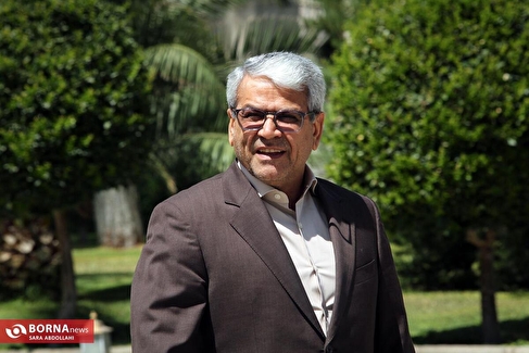 توضیحات تقوی‌نژاد درباره برنامه دولت برای کوچک سازی