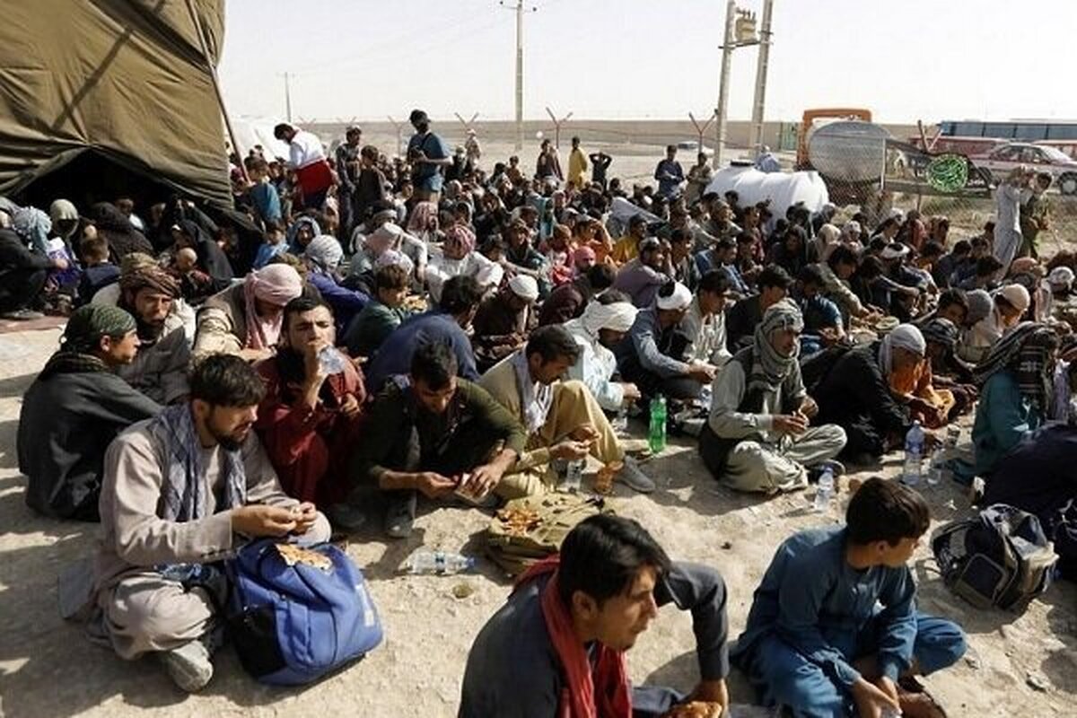 جمع آوری ۲۱۸ نفر اتباع بیگانه در زابل و نیمروز