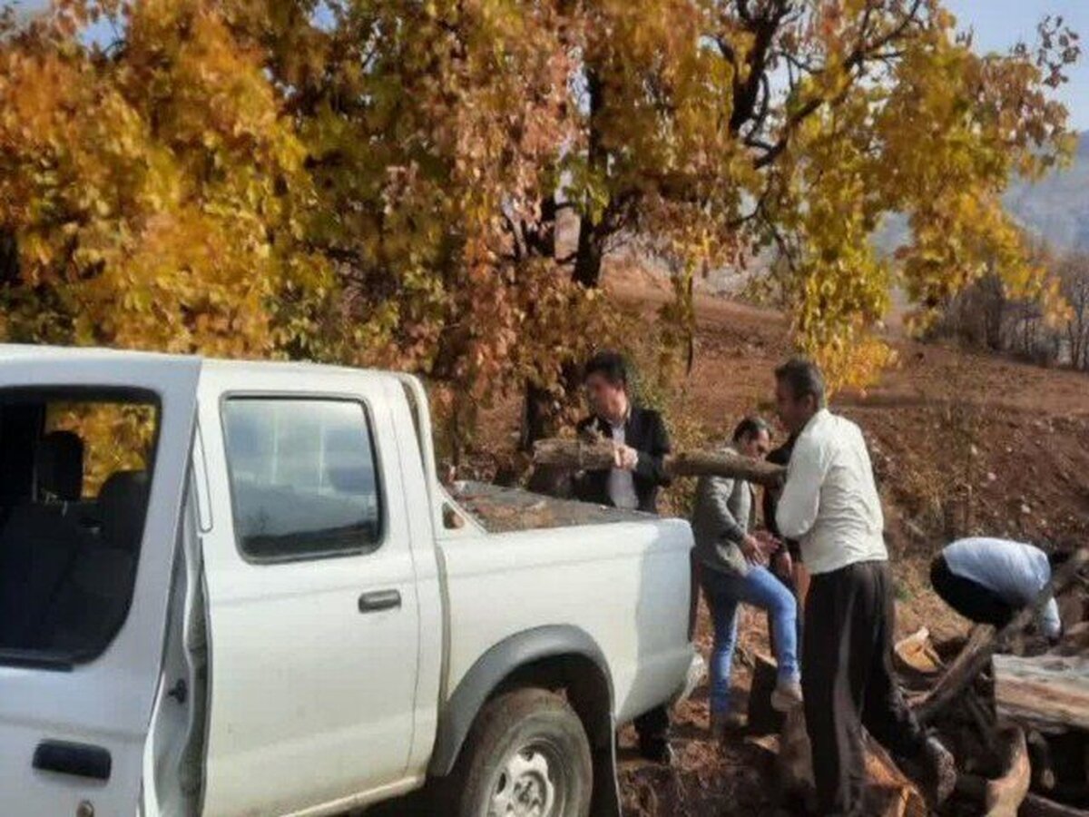 کشف و ضبط ۳۰۰ کیلوگرم چوب بلوط قاچاق در روستای آلمانه