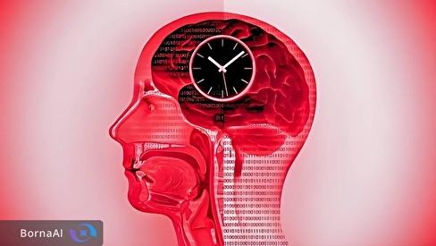 رژیم روزه‌داری مغز و روده را تغییر می‌دهد