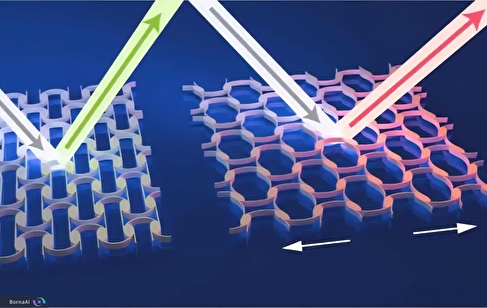 نانوپوست آفتاب‌پرست ساخته شد